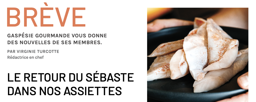 BRÈVE : LE RETOUR DU SÉBASTE DANS NOS ASSIETTES