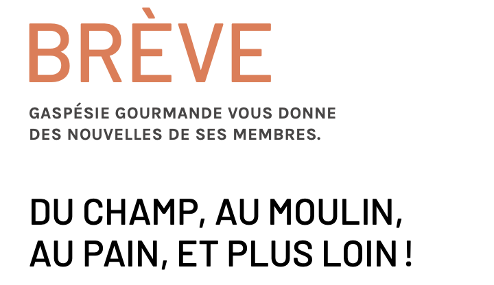 BRÈVE : DU CHAMP, AU MOULIN, AU PAIN, ET PLUS LOIN !