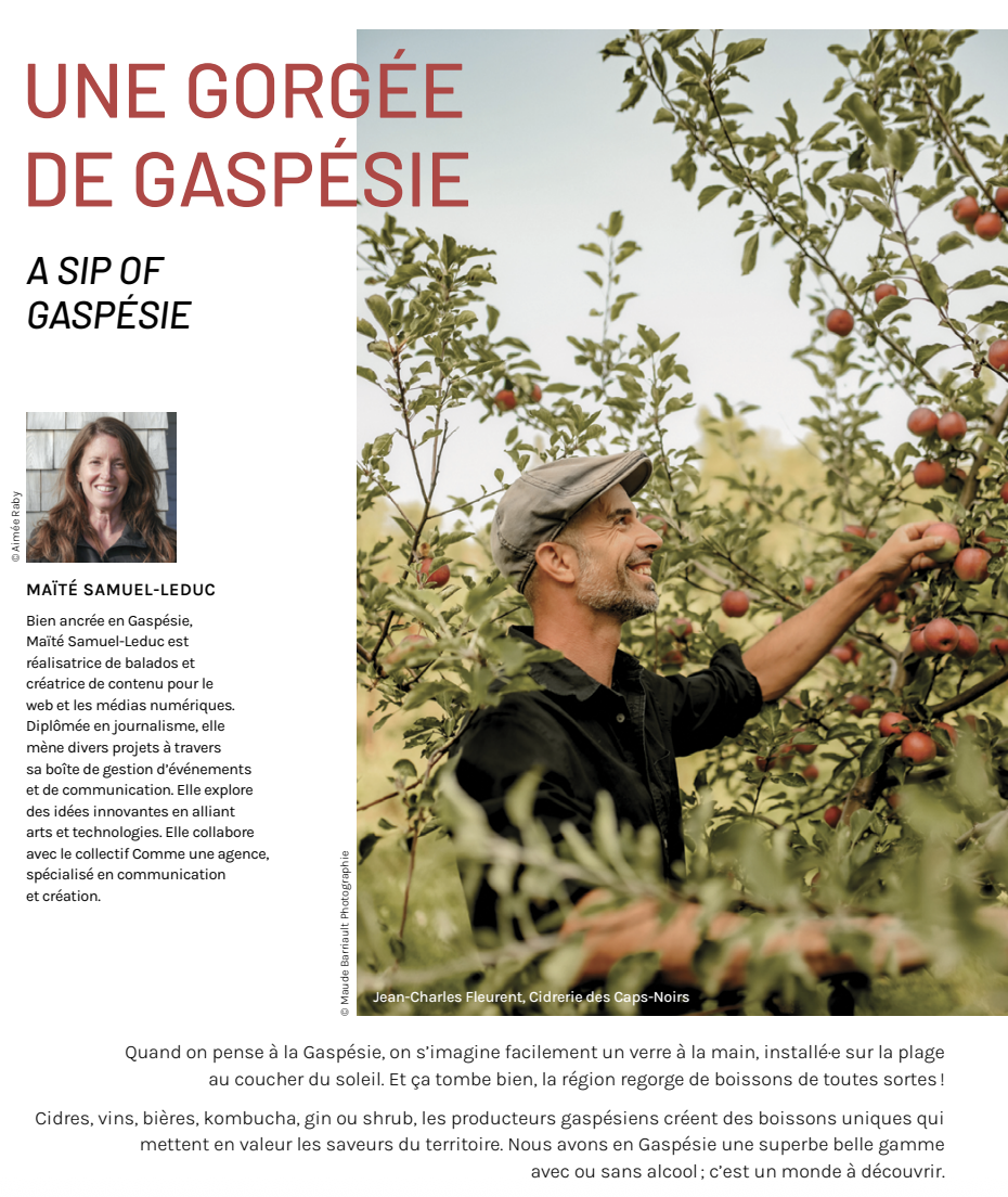 UNE GORGÉE DE GASPÉSIE