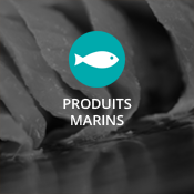 Produits marins